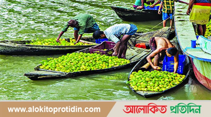 চাষিদের ভাগ্য পুড়েছে অনাবৃষ্টিতে