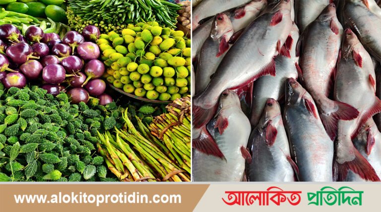 গরিবের মাছ পাঙাশও সাধ্যের বাইরে