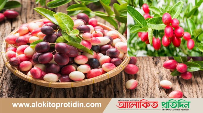 পুষ্টিগুণে ভরপুর করমচা খাওয়ার উপকারিতা