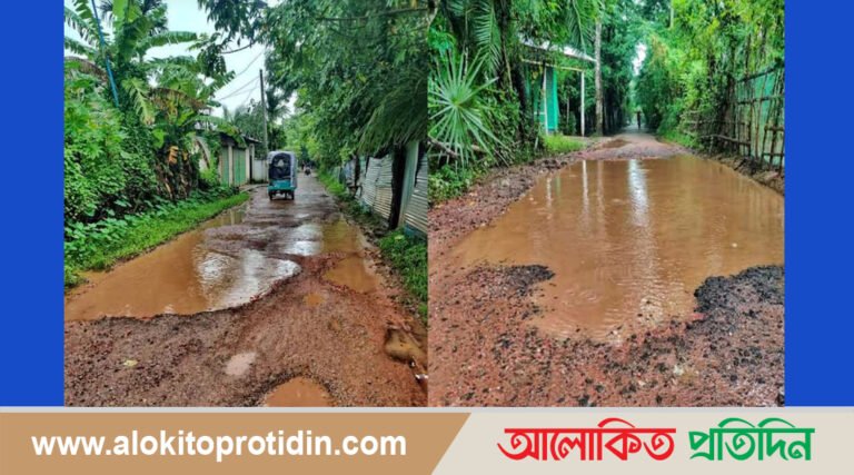 পাথরঘাটা পৌরসভার রাস্তাগুলোতে সীমাহীন জনদুর্ভোগ