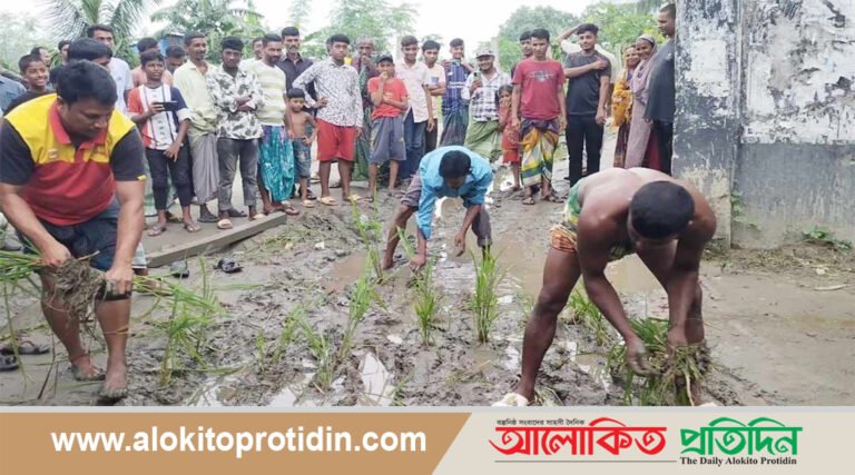 সোনারগাঁয়ে রাস্তায় ধানের চারা লাগিয়ে এলাকাবাসীর প্রতিবাদ