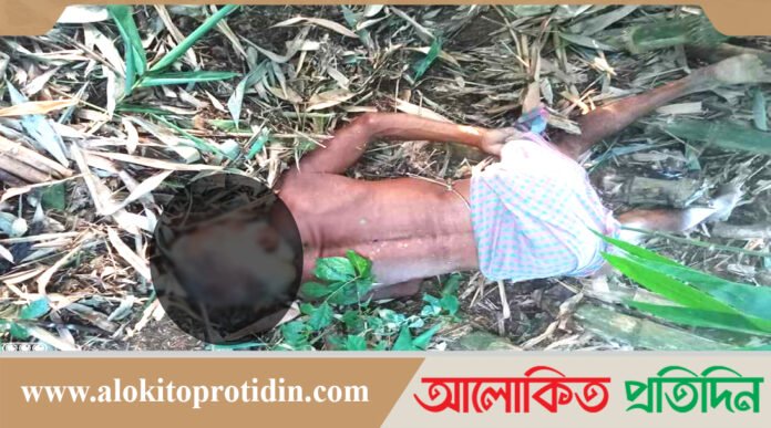 বিদ্যুৎপৃষ্ট হয়ে বৃদ্ধার মৃত্যু