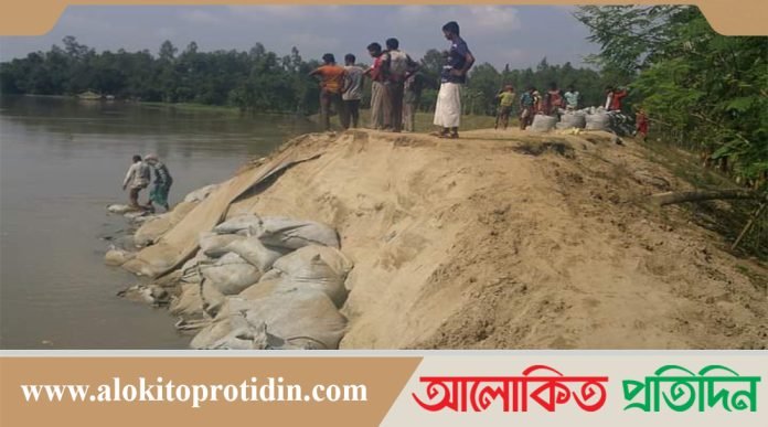 পলাশবাড়ীতে ধসে গেছে বন্যা নিয়ন্ত্রন বাঁধ 