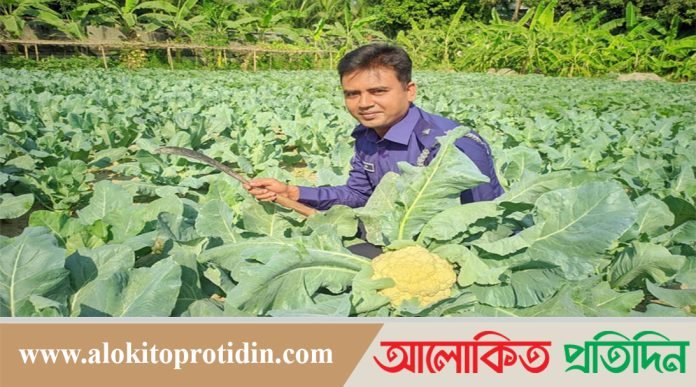সবজি চাষ করে প্রশংসা কুড়াচ্ছেন হরিরামপুর থানার ওসি সুমন কুমার