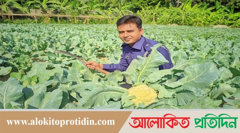 সবজি চাষ করে প্রশংসা কুড়াচ্ছেন হরিরামপুর থানার ওসি সুমন কুমার