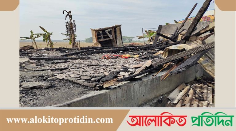 পাথরঘাটায় বসতঘর পুড়ে ছাই 