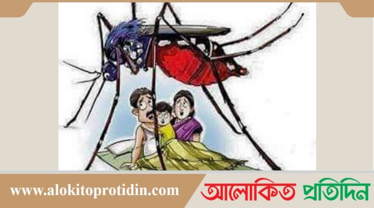 সাভার উপজেলায় মশার কামড়ে অতিষ্ঠ জনজীবন, নিধনে নেই কোন পদক্ষেপ 