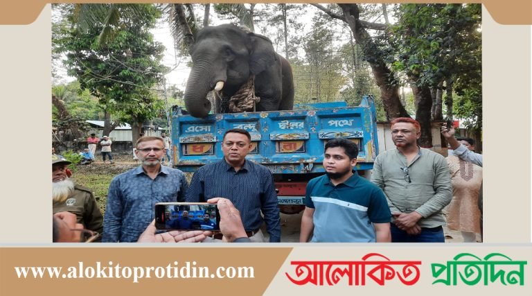 বনবিভাগের অভিযানে অবৈধভাবে কাঠ পরিবহনের কাজে নিয়োজিত হাতি আটকঃ ৬০০ ঘনফুট কাঠ জব্দ 