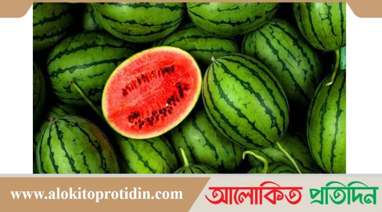 টেকনাফে তরমুজের দাম লাফিয়ে বাড়ছে