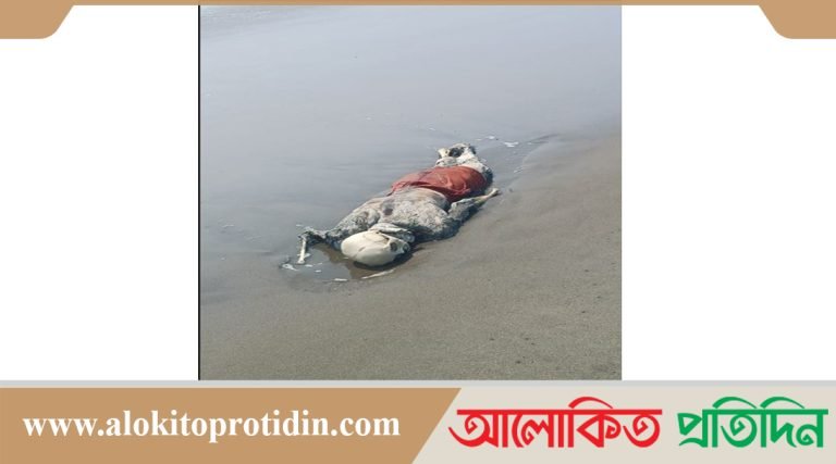টেকনাফ সৈকতে ভেসে আসা কঙ্কাল উদ্ধার
