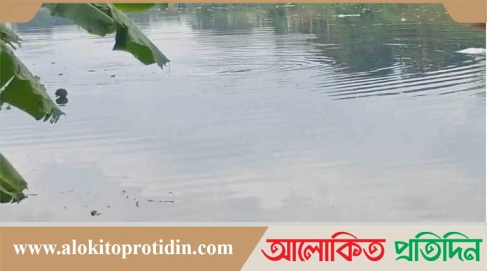 বাগজোলা খালে এমপি আনারের দেহাংশ পাওয়া কঠিন বলে মনে করেন স্থানীয়রা