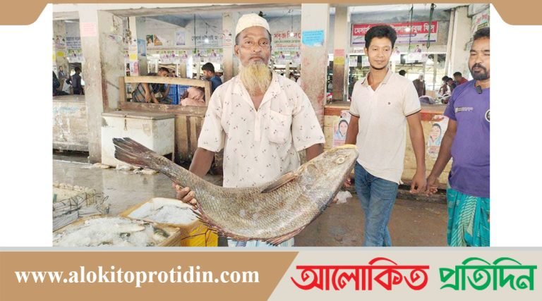 পাথরঘাটায় ২১ কেজির একটি মাছ সাড়ে ৩ লাখ টাকায় বিক্রি  