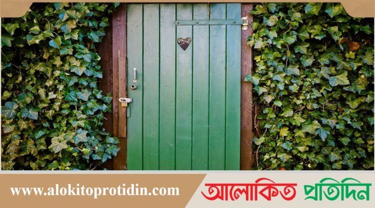 টয়লেটে গিয়ে মাথা ঢেকে রাখার বিধান
