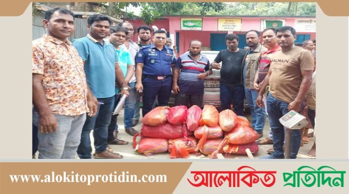 বগুড়ার গাবতলীতে  ৮৬ কেজি গাঁজা ও প্রাইভেটকারসহ ২ জন গ্রেফতার