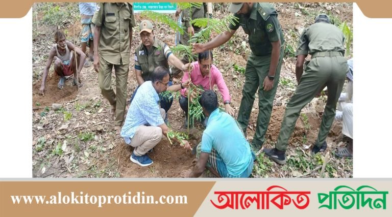 মিশ্র দ্রুত বর্ধনশীল প্রজাতির বনায়নের চারা রোপণের মাধ্যমে বৃক্ষরোপণ কার্যক্রম উদ্বোধন করলেন: ডিএফও 