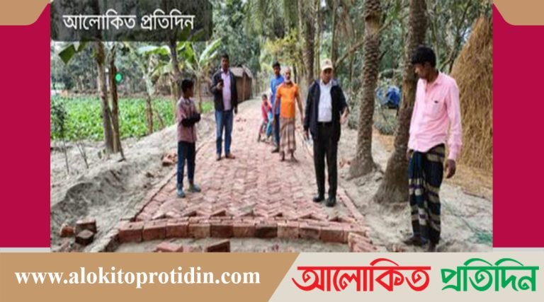 নীলফামারীতে প্রকল্পো গুলোর অর্থায়নে বদলে যাচ্ছে গ্রামীণ চিত্র