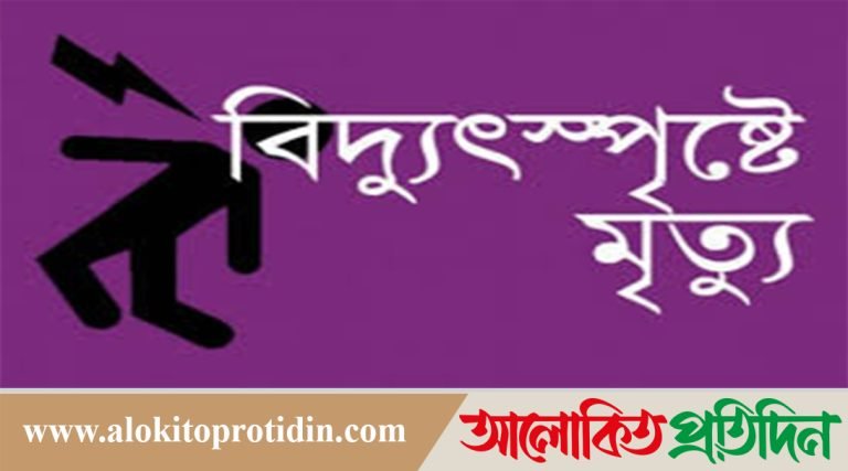 পাথরঘাটায় বিদ্যুৎপৃষ্ঠে যুবকের মৃত্যু 