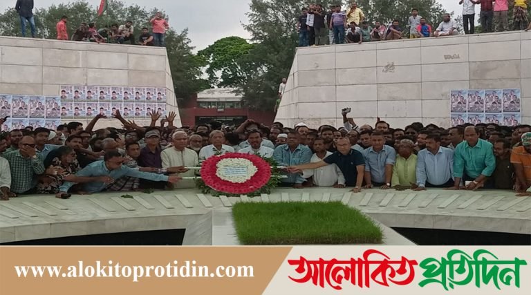 অন্তর্বর্তী সরকারের সকল পদক্ষেপ প্রশংসাযোগ্য : মির্জা ফখরুল