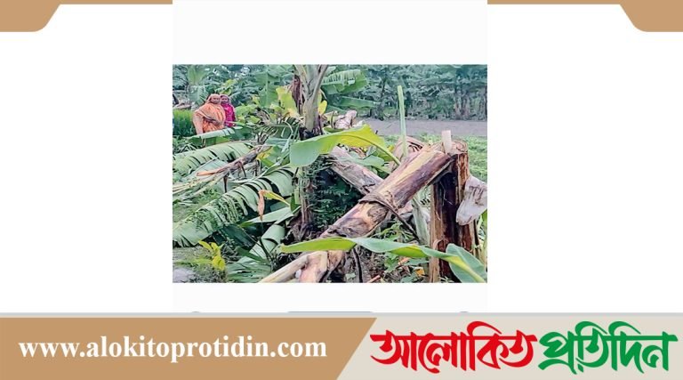 রাতের আঁধারে লক্ষ টাকার ফলন্ত ফসল শেষ করে দিলো দুর্বৃত্তরা 