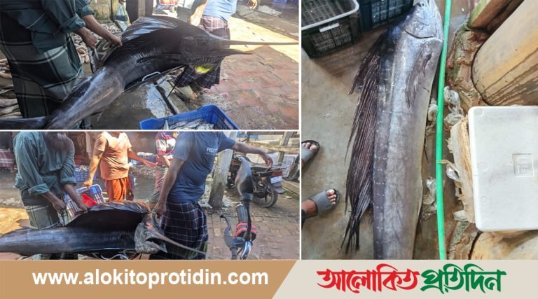 জেলের জালে ৪৬ কেজি ওজনের পাখি মাছ