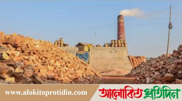 মানিকগঞ্জে ধলেশ্বরী নদীর খাস জমি দখল করে ইটভাটা, বায়ু দূষণ 