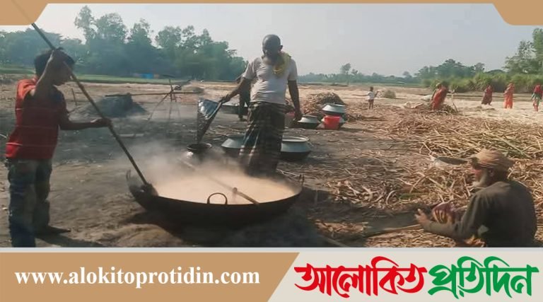 গাইবান্ধা জেলার পলাশবাড়ী উপজেলার আখ চাষিরা গুড় তৈরিতে ব্যস্ত সময় পার করছে