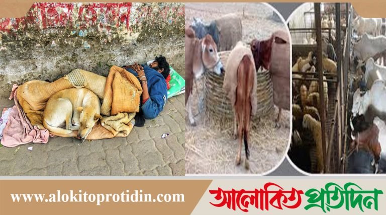 মানুষের পাশাপাশি শীতে কাঁপছে পশু-প্রাণী