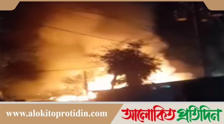 নোয়াখালীতে আগুনে পুড়ল ৮ দোকান