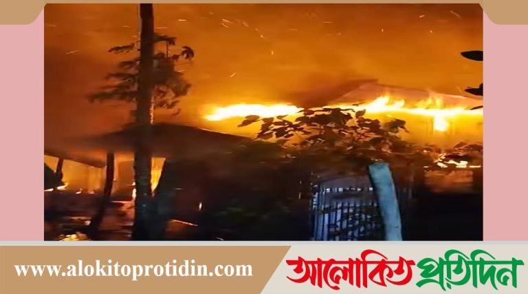 গোপালগঞ্জে অগ্নিকাণ্ডে ১০ টি দোকান পুড়ে ছাই 