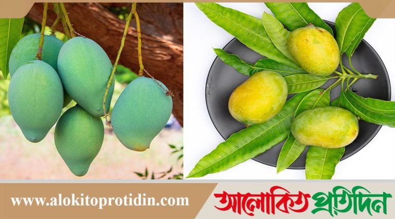 কাঁচা আম না পাকা আম, স্বাস্থ্যের জন্য কোনগুলো ভালো