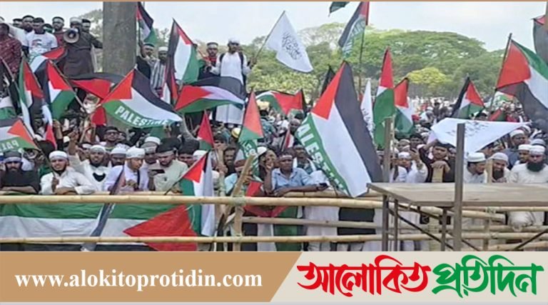 মার্চ ফর গাজা, ফিলিস্তিনের পতাকায় ছেয়ে গেছে ঢাকা!