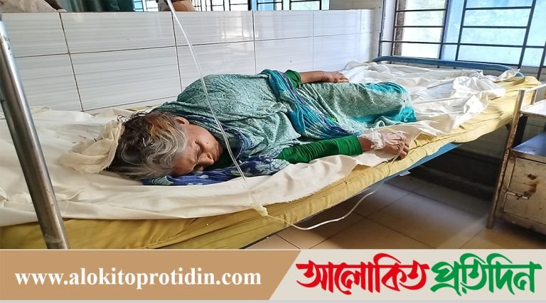 ফুলবাড়ীতে জামাইয়ের লাঠির আঘাতে আহত হয়ে শাশুড়ি হাসপাতালে 