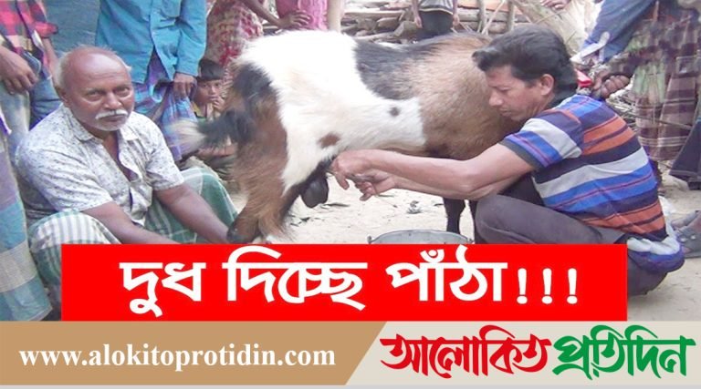 দুধ দিচ্ছে পাঁঠা, দেখতে মানুষের ভিড়!