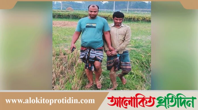 বগুড়ায় কৃষক সেজে ধানখেত থেকে আসামি ধরল পুলিশ