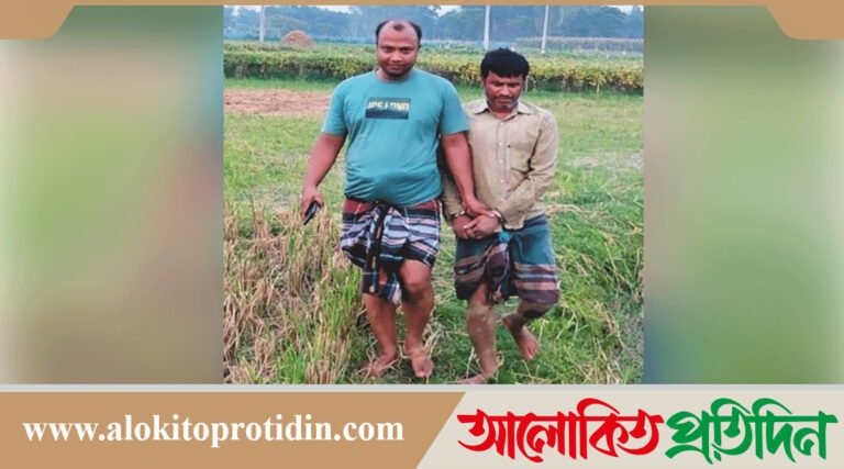 বগুড়ায় কৃষক সেজে ধানখেত থেকে আসামি ধরল পুলিশ
