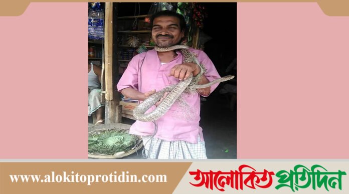 পাথরঘাটায় সাপ ধরতে এসে সাপুড়ের মৃত্যু 
