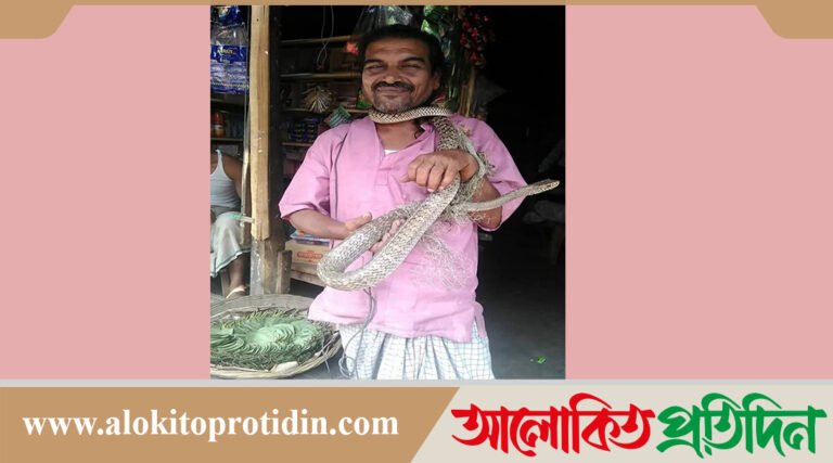 পাথরঘাটায় সাপ ধরতে এসে সাপুড়ের মৃত্যু 