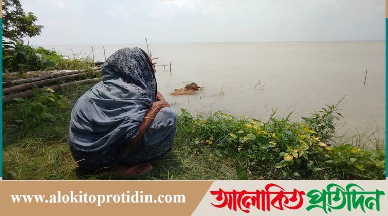 নদীভাঙনের ভয়াল থাবা: বিলীন হচ্ছে মানিকগঞ্জের মালুচি ও কুশেরচর গ্রাম