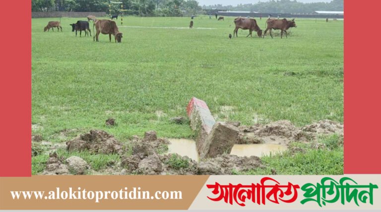 কক্সবাজারের রামুর চেইন্দায় ব্যক্তি মালিকানা  জমির সীমানা পিলার ভাঙচুর